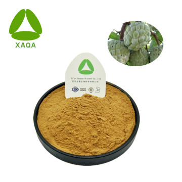 Graviola Fruit Extract Annona Muricata Fruit Powder