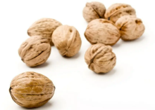 Wholesale Large Low Price Raw Walnuts and Organic Walnut Kernels from Xinjiang