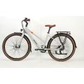 Dua Seat Electric Road Bike for Leisure