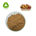 Vitamina C Natural Camu Fruit Extract Powder
