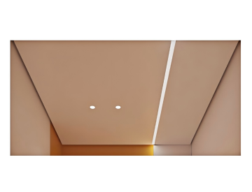 Premium Home elevator ceiling