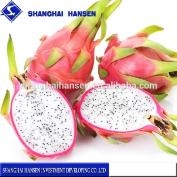 Fresh pitaya import agency china trade agent