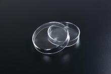 Glass Petri Dish