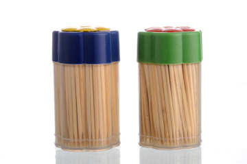 Good Quality Disposable Toothpick, 200PCS Toothpick in Bottle