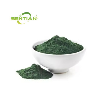 Certificated Chlorella Powder Natural Chlorella