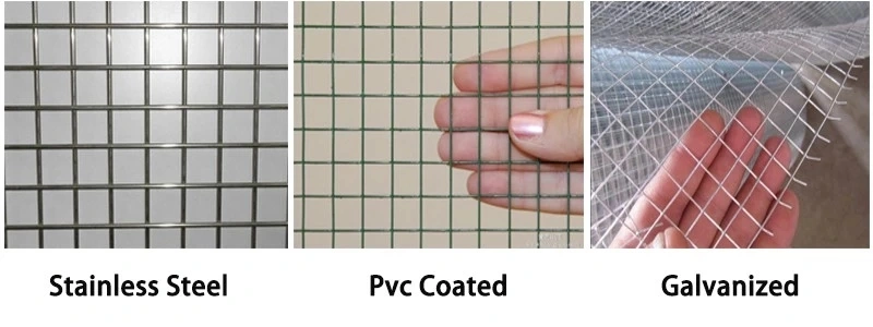 Galvanized PVC Coated Wire Mesh Rolls Supplier