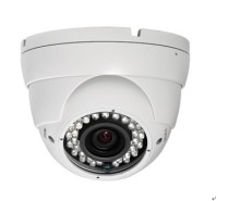 1/3'' Exview CCD Sony Doom Car Camera (D001)