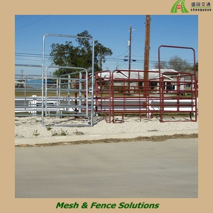 Glavanized Metal Pipe Corral Fence