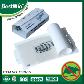 BV certification contemporary glue traps for mice                        
                                                Quality Assured