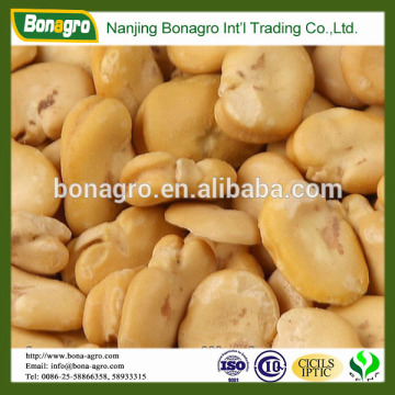 chinese peeled broad bean kernels