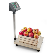 600x800mm 600kg Electronic Platform Bench Weighing Scale