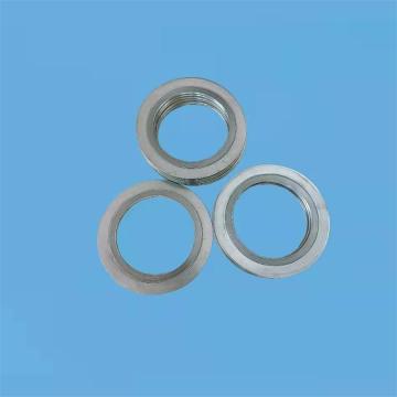 Spiral Wound Gaskets with Outer Ring Cg Swg