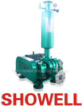 three lobes' roots type blower