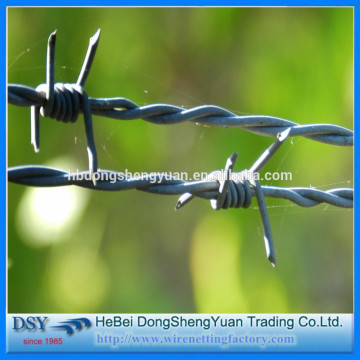 Two Strand Double Twisted Barbed Wire(Manufactory)