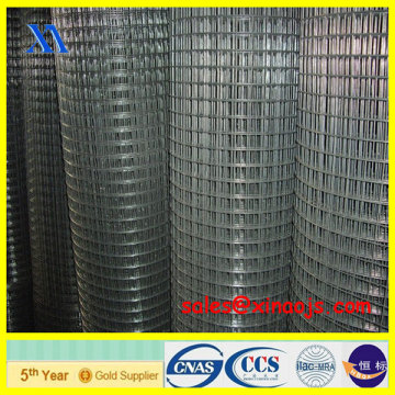 weld wire mesh/galvanized welded wire mesh/diamond welded wire mesh