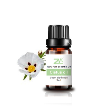 روغن Cistus Rockrose 100 ٪ روغن ضروری طبیعی خالص