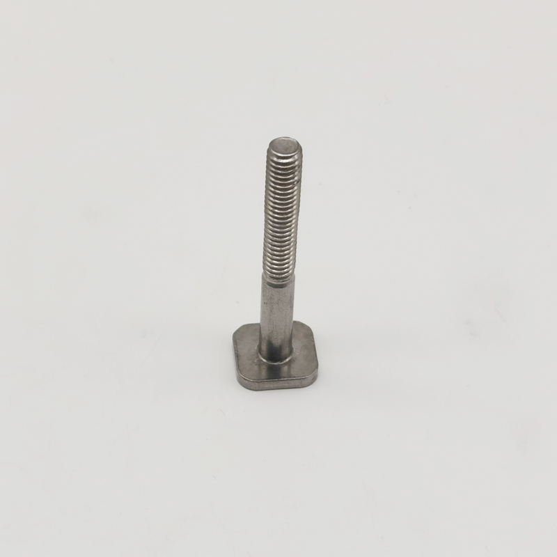 الصناعة العامة SS304 SS316 Flat T Head Bolt