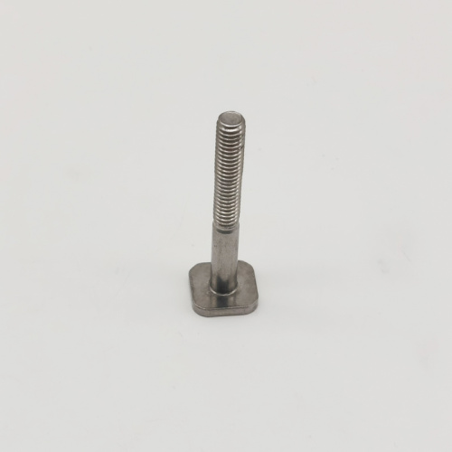 General Industry SS304 SS316 Flat T Head Bolt