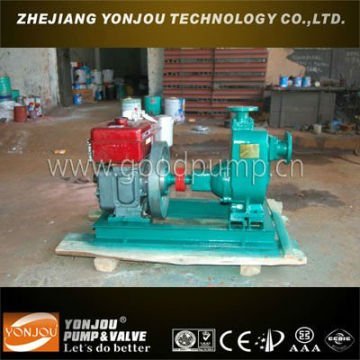 ZW Sewage Pump with Solid 10mm/Self-Suction Pump