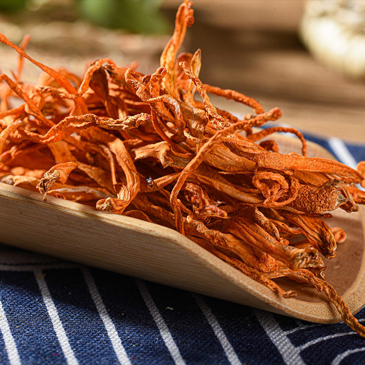 Cordyceps Militaris Extract Cordyceps Militaris Extract