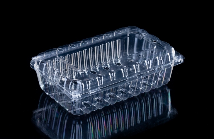 Clear Plastic Container for Fruit Packaging