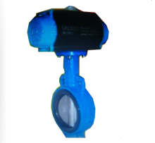 Plastic Lined Butterfly Valve