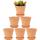 Plantador de cerámica de arcilla de 5 pulgadas Cactus Flower macetas
