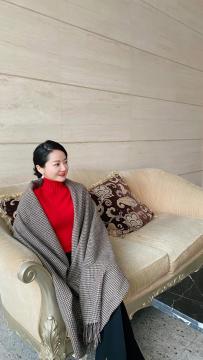 spinning wool round neck lady sweater