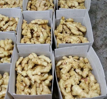 Dehydrated And Salted Dried Ginger