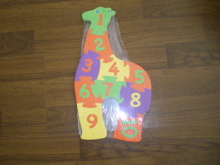 EVA Education Puzzle