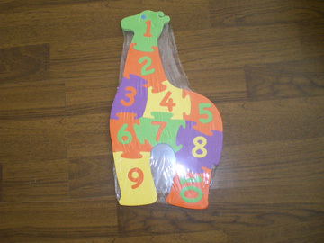 EVA Education Puzzle