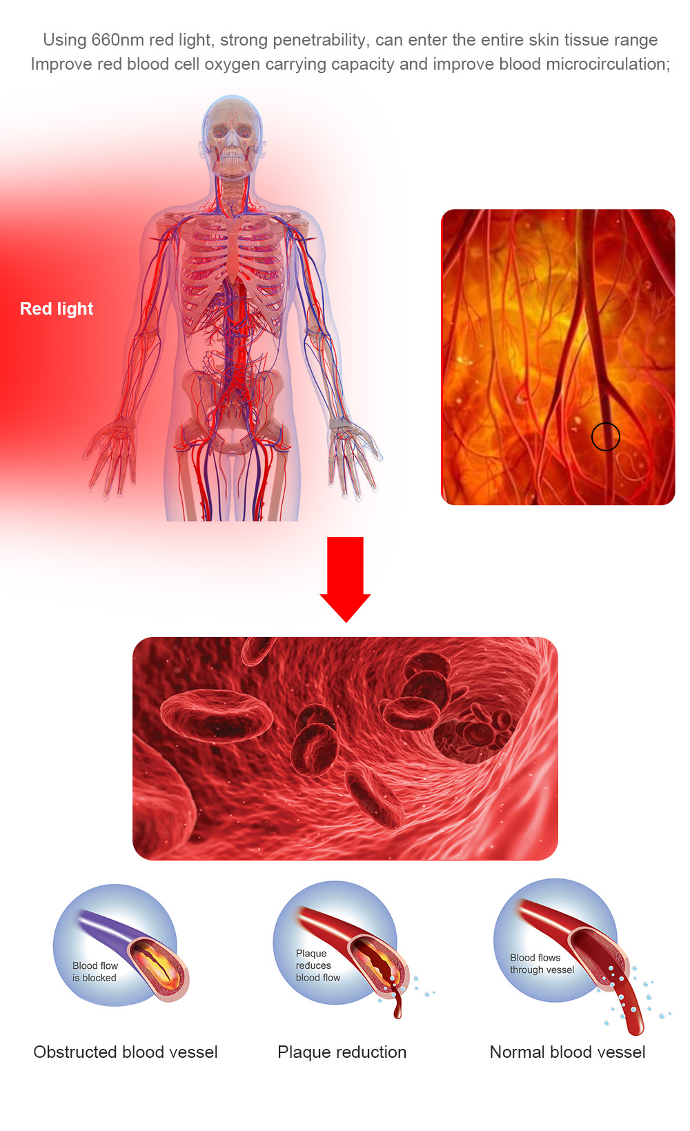 Red Light Collagen Therapy