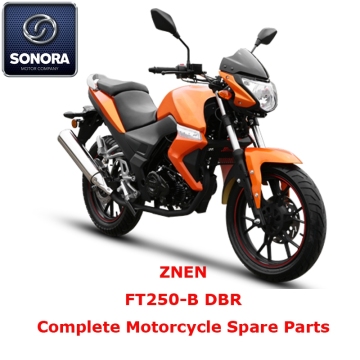 ZNEN FT250-B DBR Complete Motorcycle Spare Part