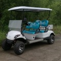 2 người gas powered golf tiện ích giỏ hàng