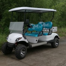 Utility Golf Cart with independent suspension system