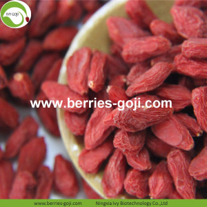 Grosir Pabrik Sun Kering Kosmetik Diet Wolfberries