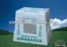 PP corrugated fruit containers