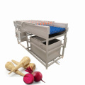 Industrial Spray and Brush Washing Machine for fruit