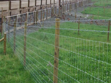 Grassland Fence Mesh Farm Fence