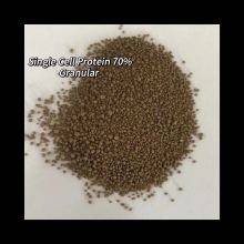 Plant-Based Protein Feed Additive Mycoprotein 70%