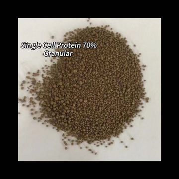 Plant-Based Protein Feed Additive Mycoprotein 70%