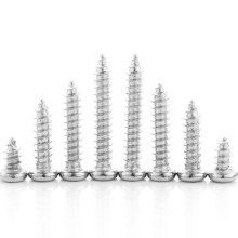 Screw Fastner Pan Head Self Tapping Screw