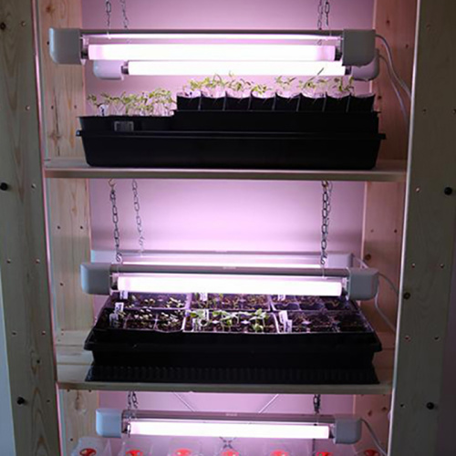 Iluminação de crescimento fluorescente LED para hidroponia