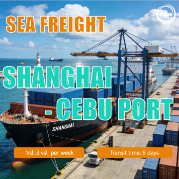 Sea Freight from Shanghai to Cebu Port, Philippines