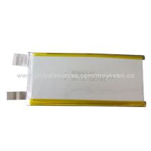 3,850mAh Li-polymer Battery for Mobile Phones, GPS, Notebooks, Camcorders and Portable DVD