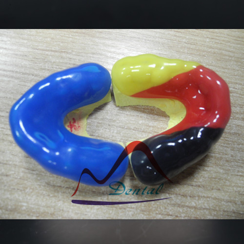 Dental Colorful Sport Guards