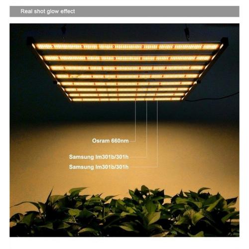 Phlizon Vollspektrum Samsung Grow Light 3000K