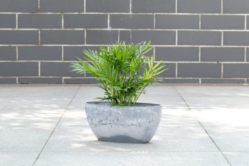 Irregular Contour Modern Flower Pot