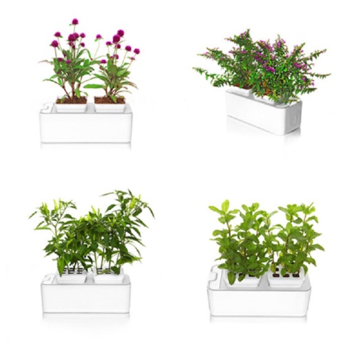 Indoor Smart Mini Garden Hydroponic Flower