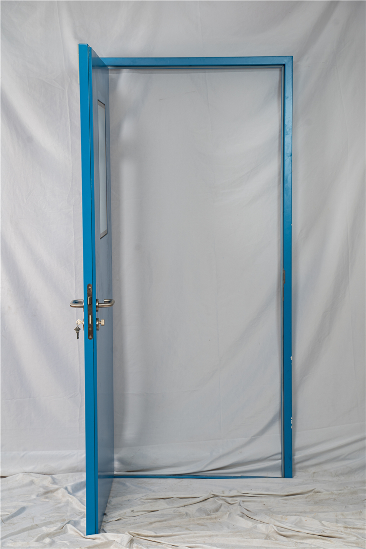 China Supplier Large Size Clean Room Door For Sale